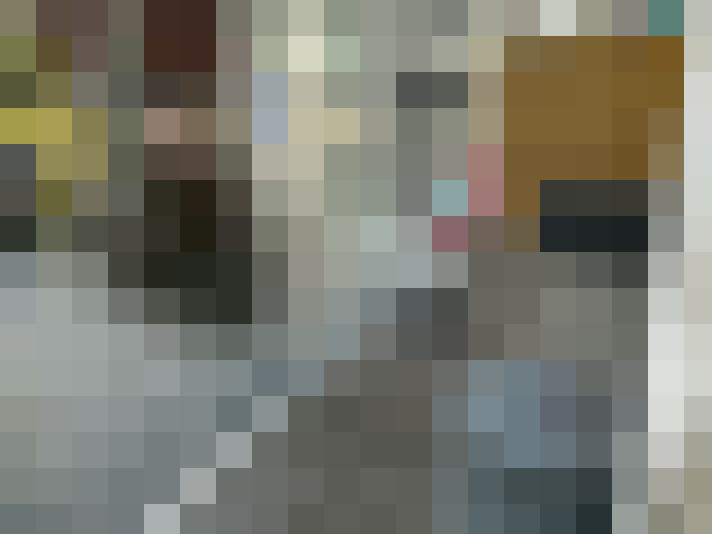 Image 14