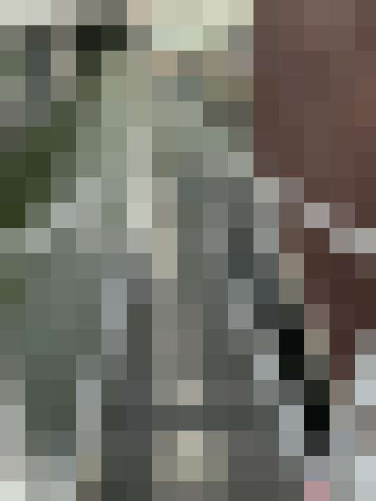 Image 13