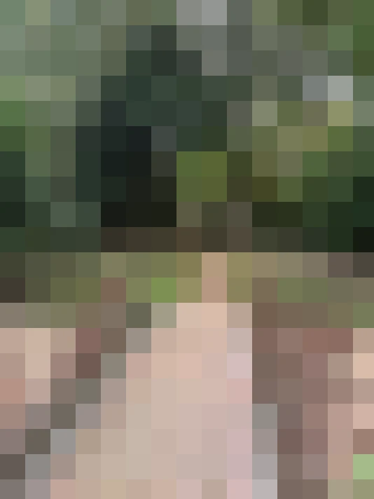 Image 20