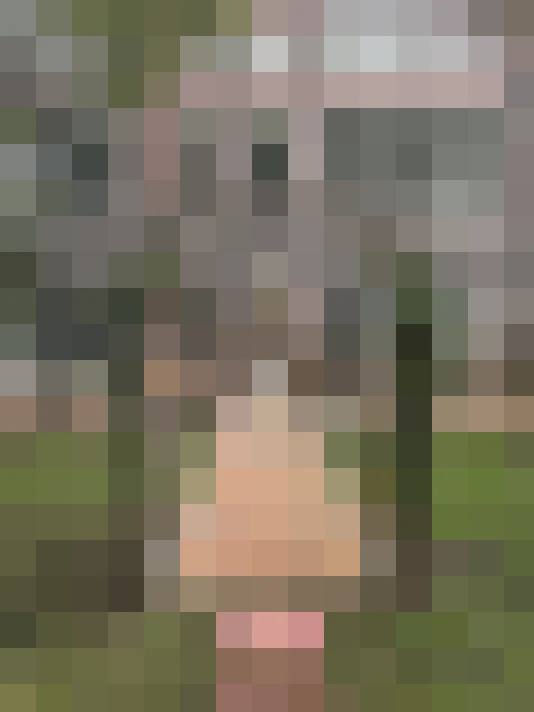 Image 23