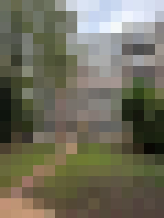 Image 18