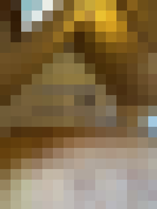 Image 13