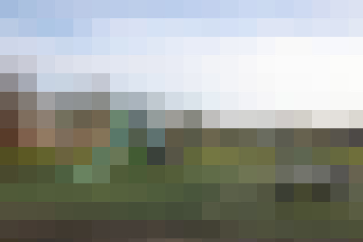 Image 17