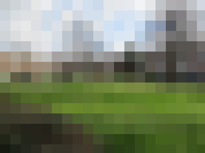 Image 27