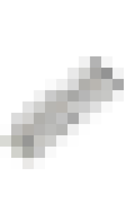 Image 29