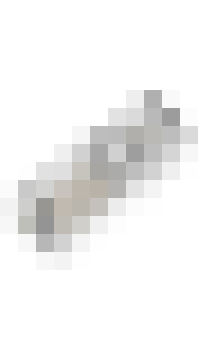 Image 28