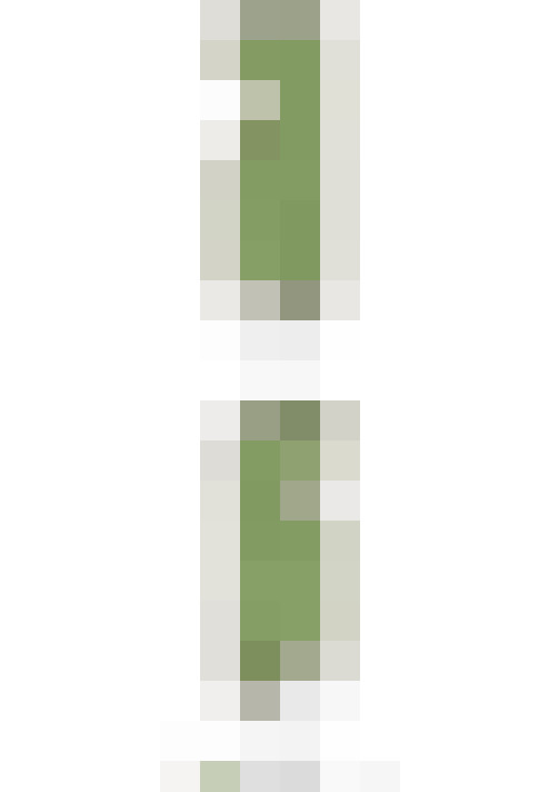 Image 31