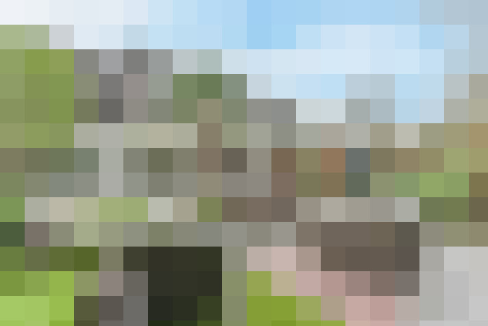 Image 29
