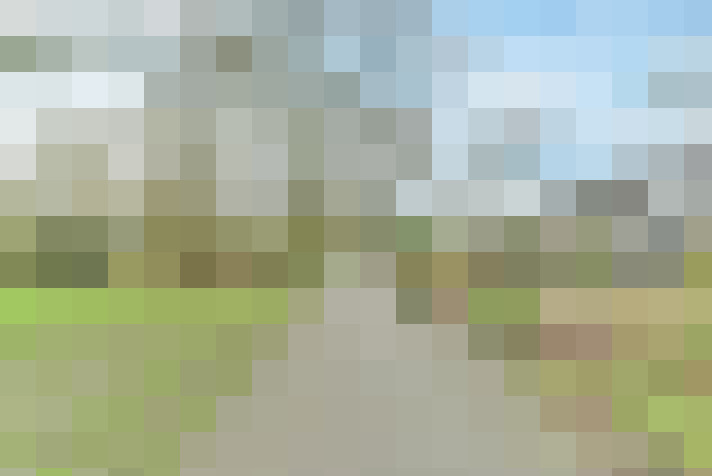 Image 54