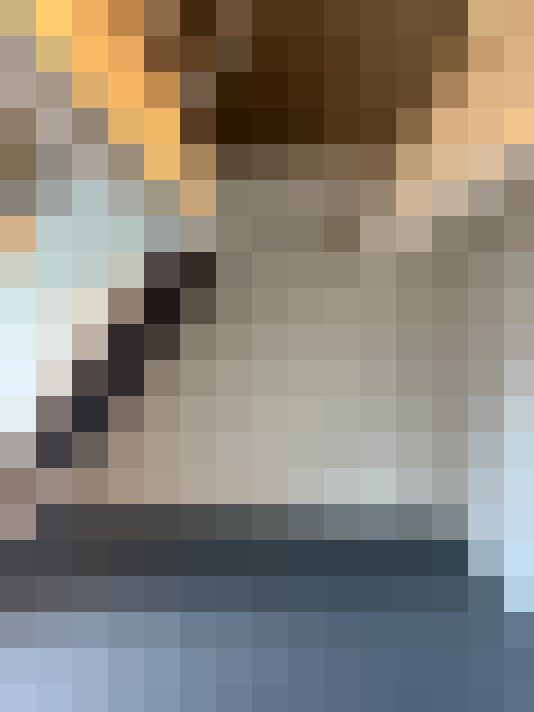 Image 38