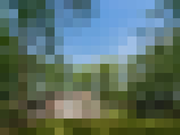 Image 18