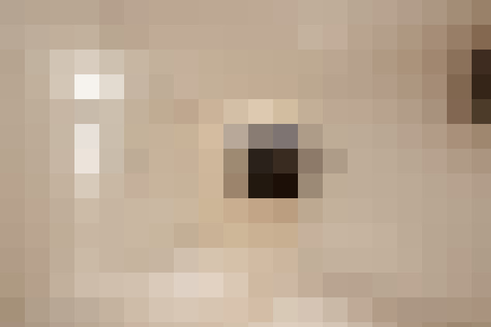 Image 29