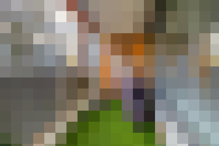 Image 48