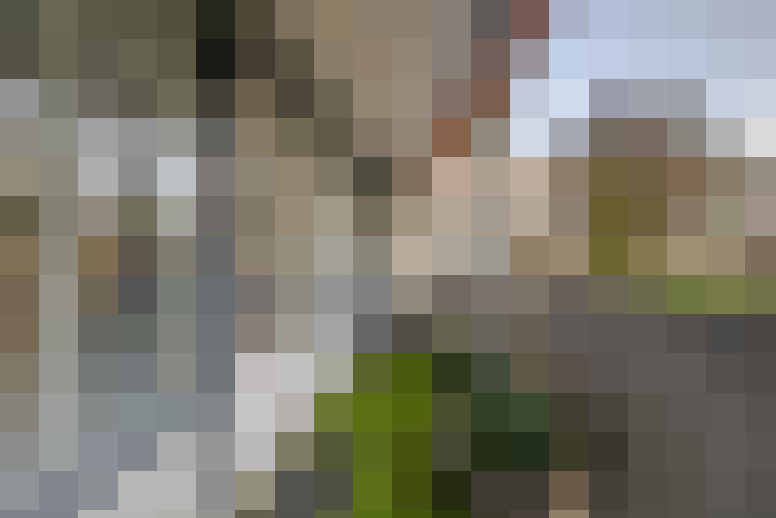 Image 49