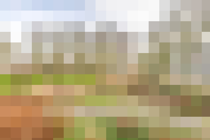 Image 51
