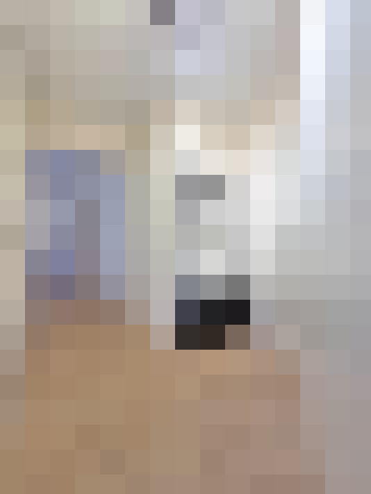 Image 29