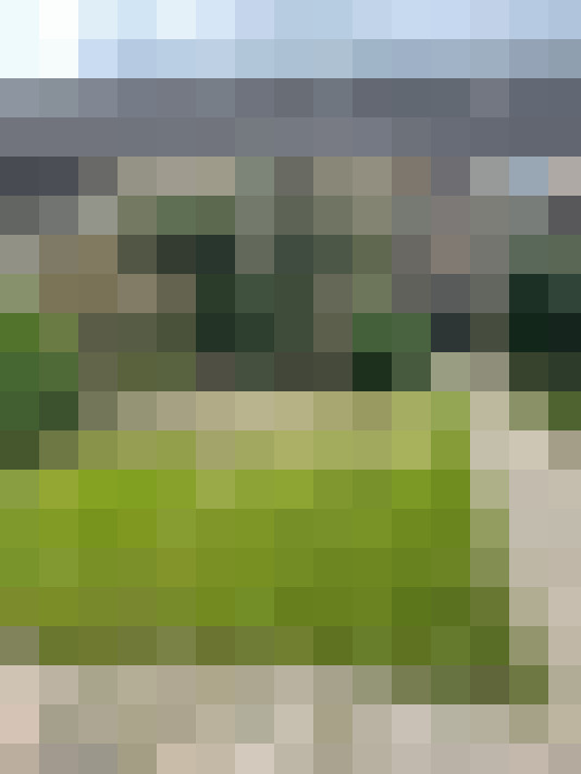 Image 13