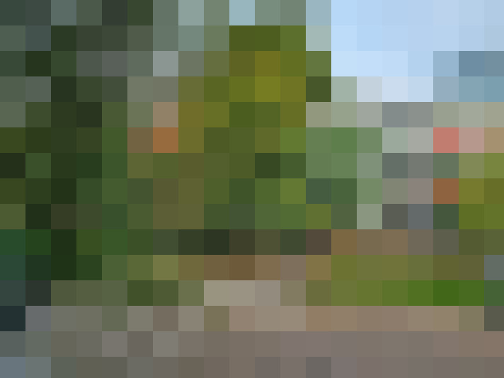 Image 32