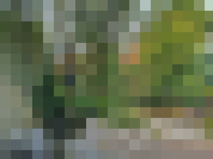 Image 31