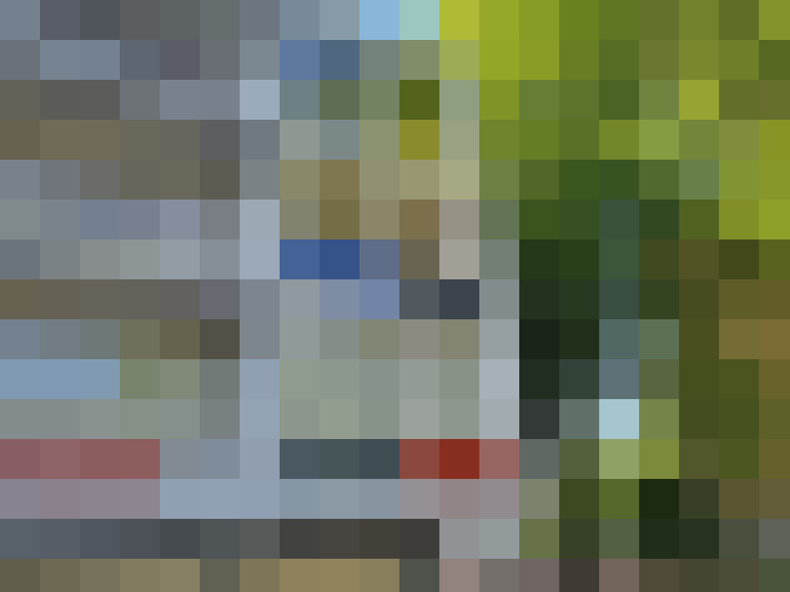 Image 37