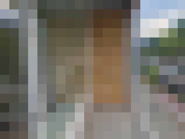 Image 29
