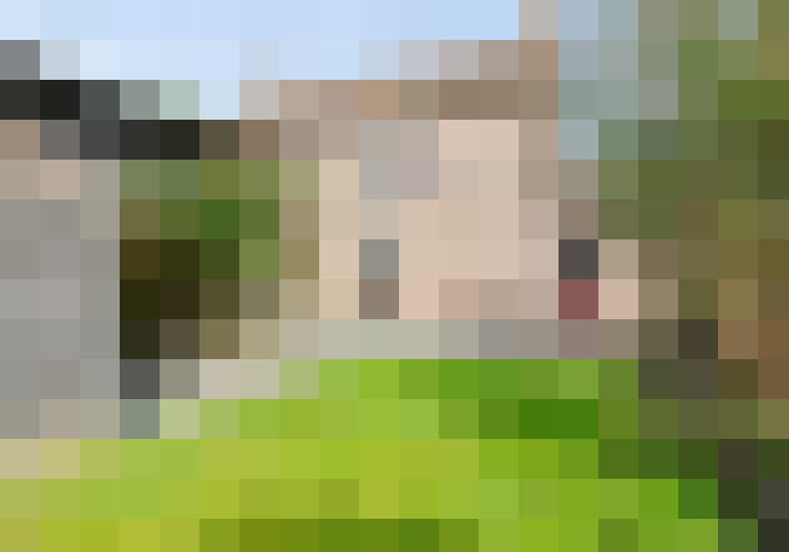 Image 13
