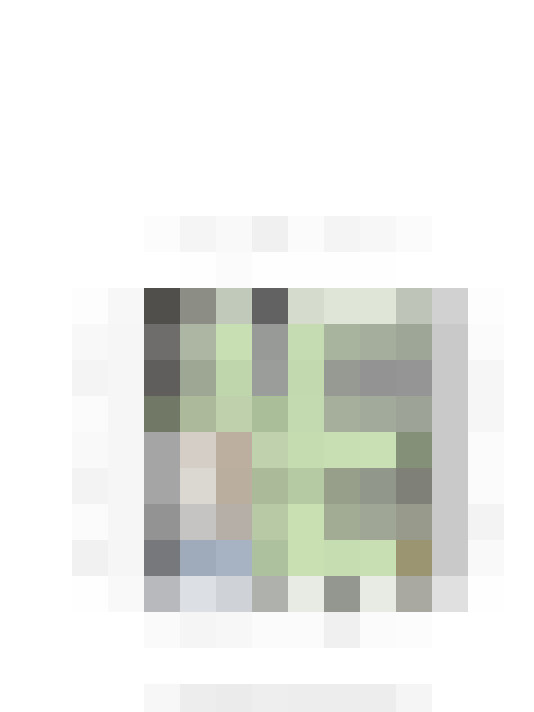 Image 37