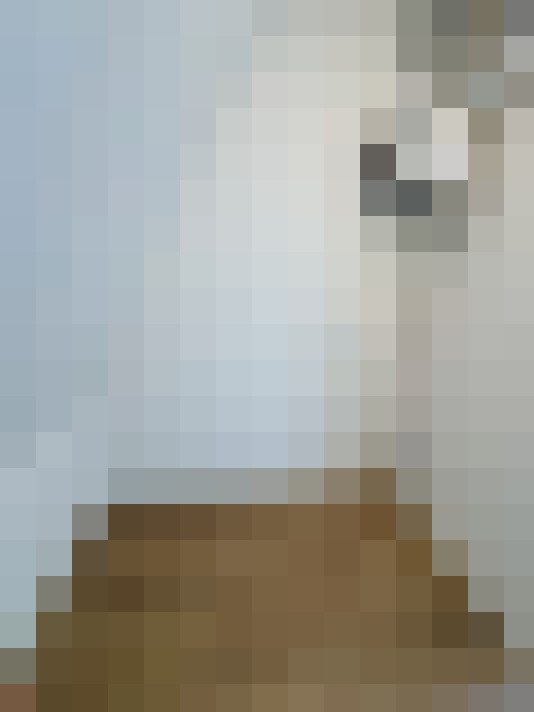 Image 23