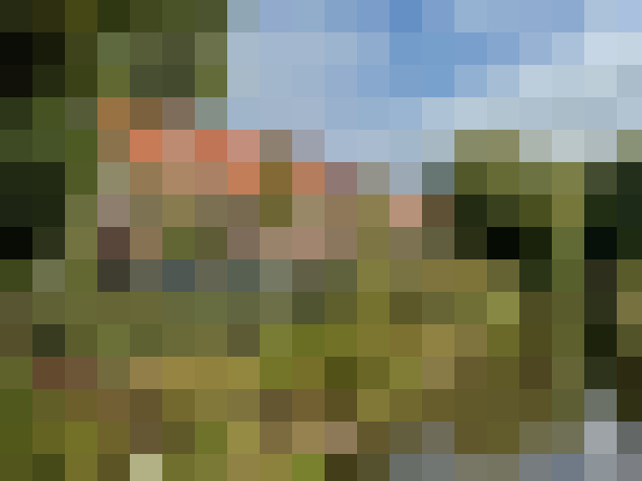 Image 29
