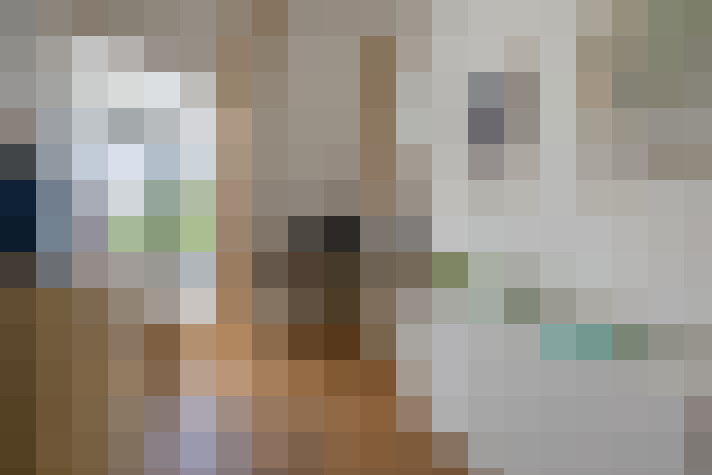 Image 40