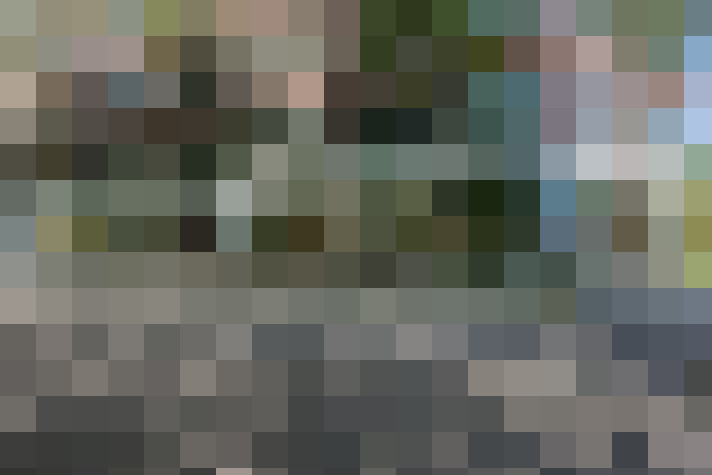 Image 59