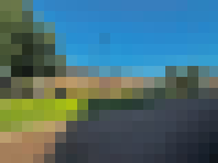 Image 31
