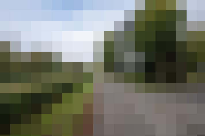 Image 25