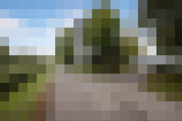 Image 24