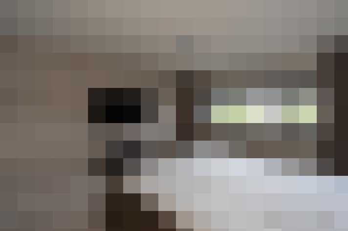 Image 20