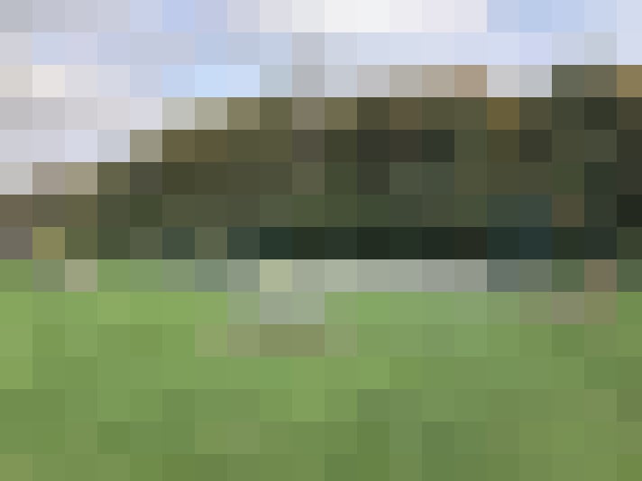 Image 25