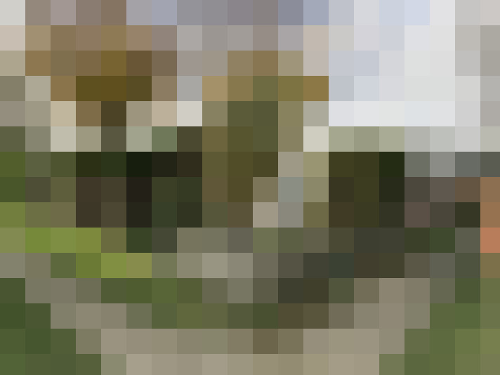 Image 22