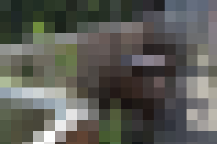 Image 13