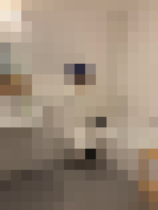 Image 23