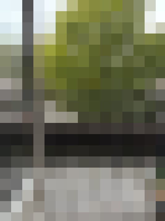 Image 26