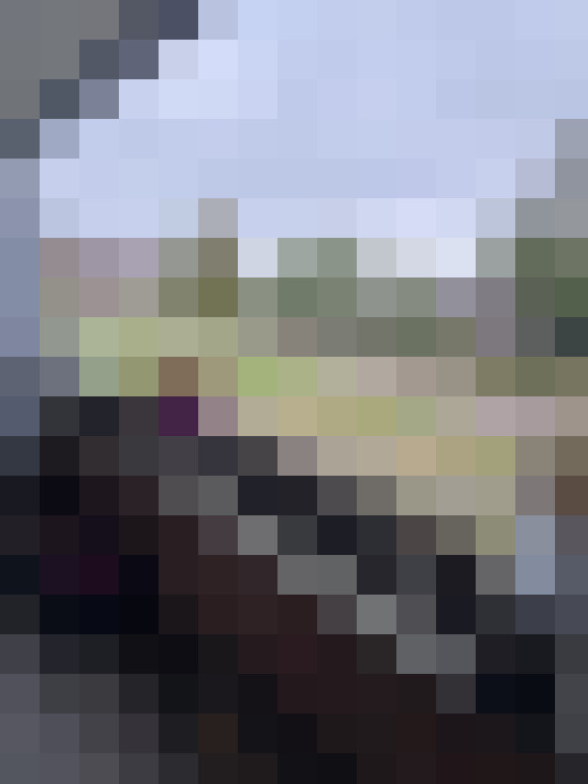 Image 20