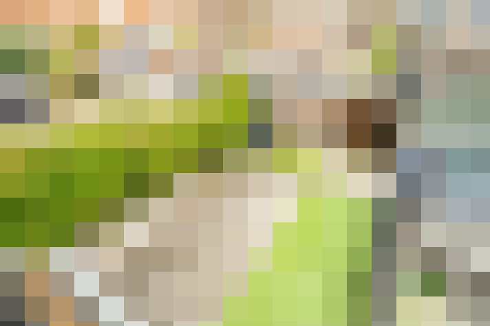Image 29