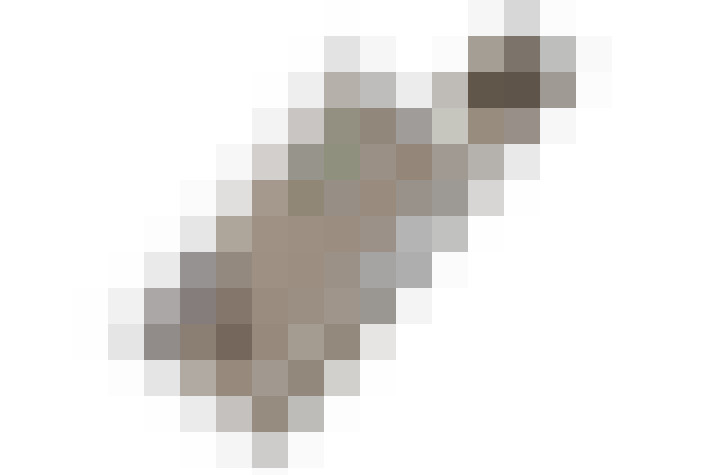 Image 46