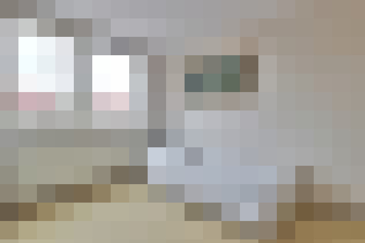 Image 17