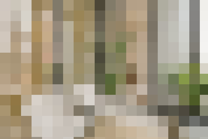 Image 17