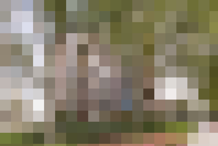 Image 17
