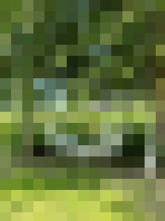 Image 32