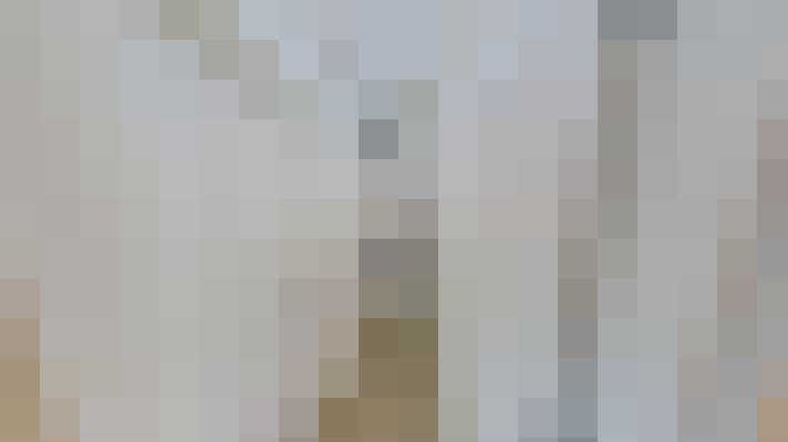 Image 13