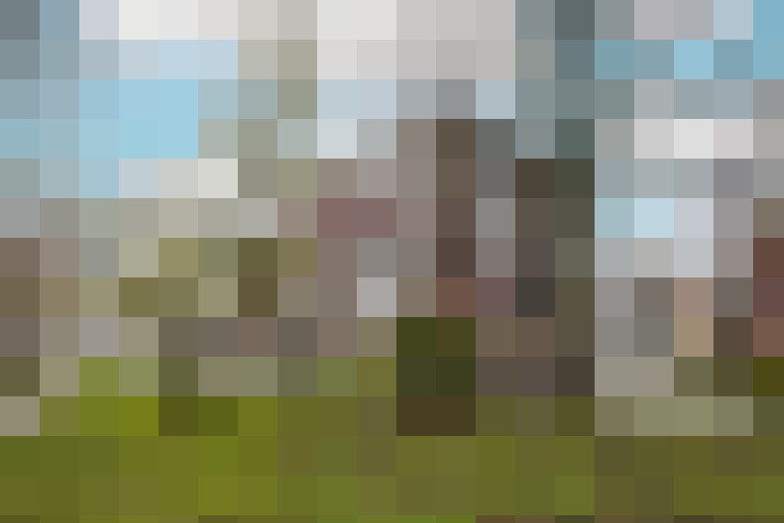 Image 29