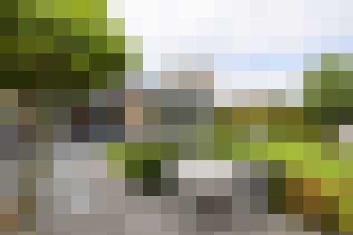 Image 40